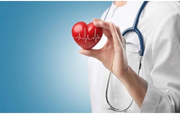 Λάδι Κάνναβης για υψηλή Χοληστερίνη. Όλα όσα χρειάζεται να γνωρίζετε για την χοληστερίνη και την κάνναβη