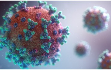 Κάνναβη και Κορονοϊός – Μπορεί να βοηθήσει η κανναβιδιόλη CBD στην καταπολέμηση του Covid-19;